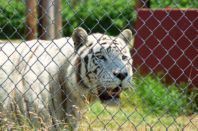 20120520-dsc01146_sm