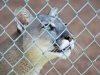 20120520-dsc01083_sm