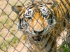 20120520-dsc01112_sm
