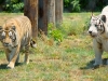20120520-dsc01134_sm