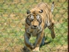 20120520-dsc01135_sm