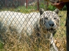 20120520-dsc01145_sm