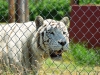 20120520-dsc01146_sm