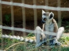 20120520-dsc01215_sm