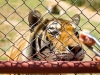 20120520-dsc01229_sm